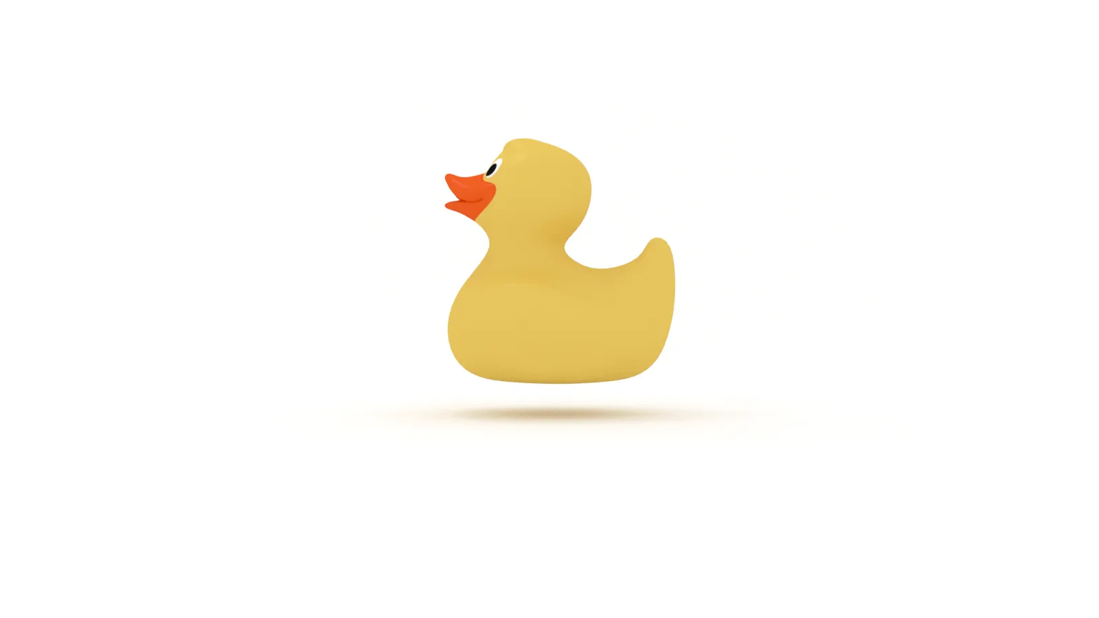  Talk to the duck 